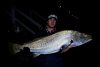 Busselton Mulloway